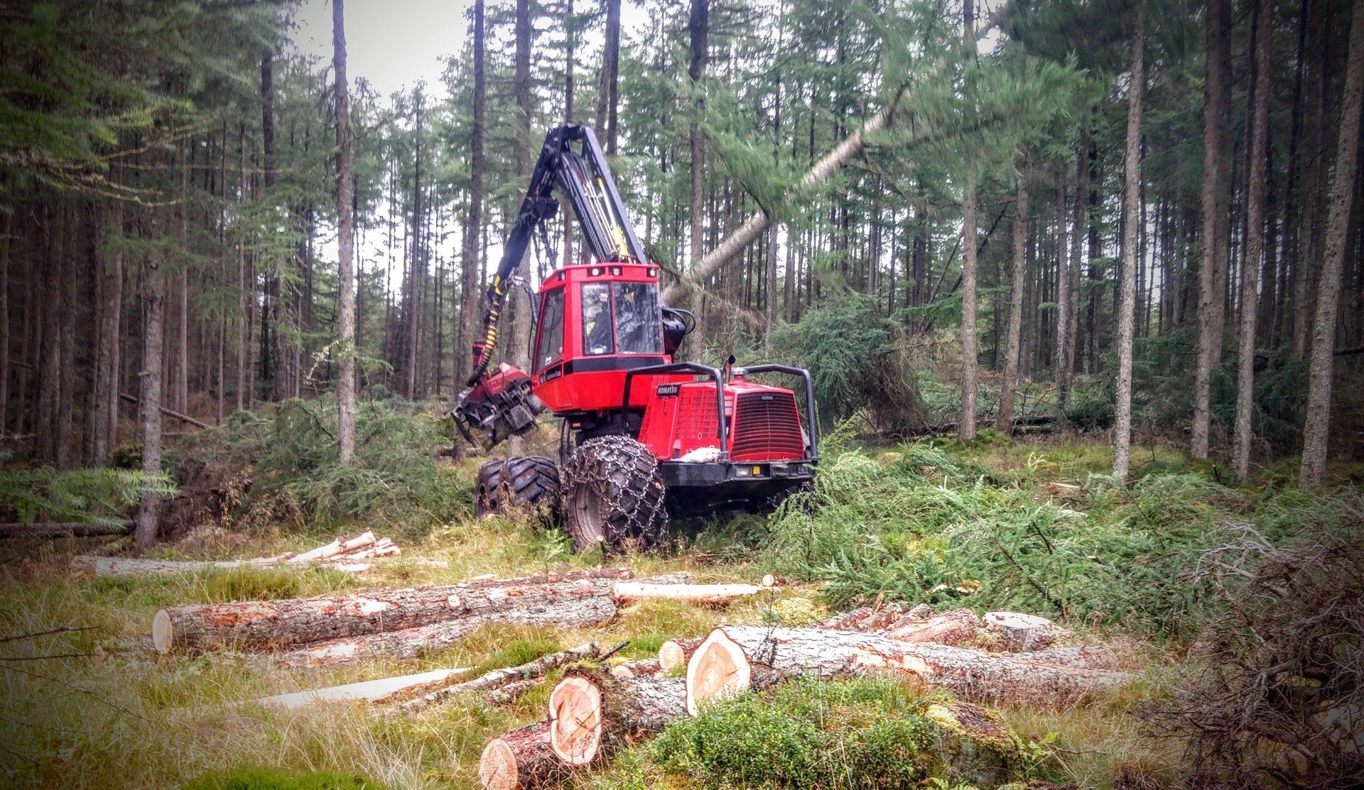 Plant hire