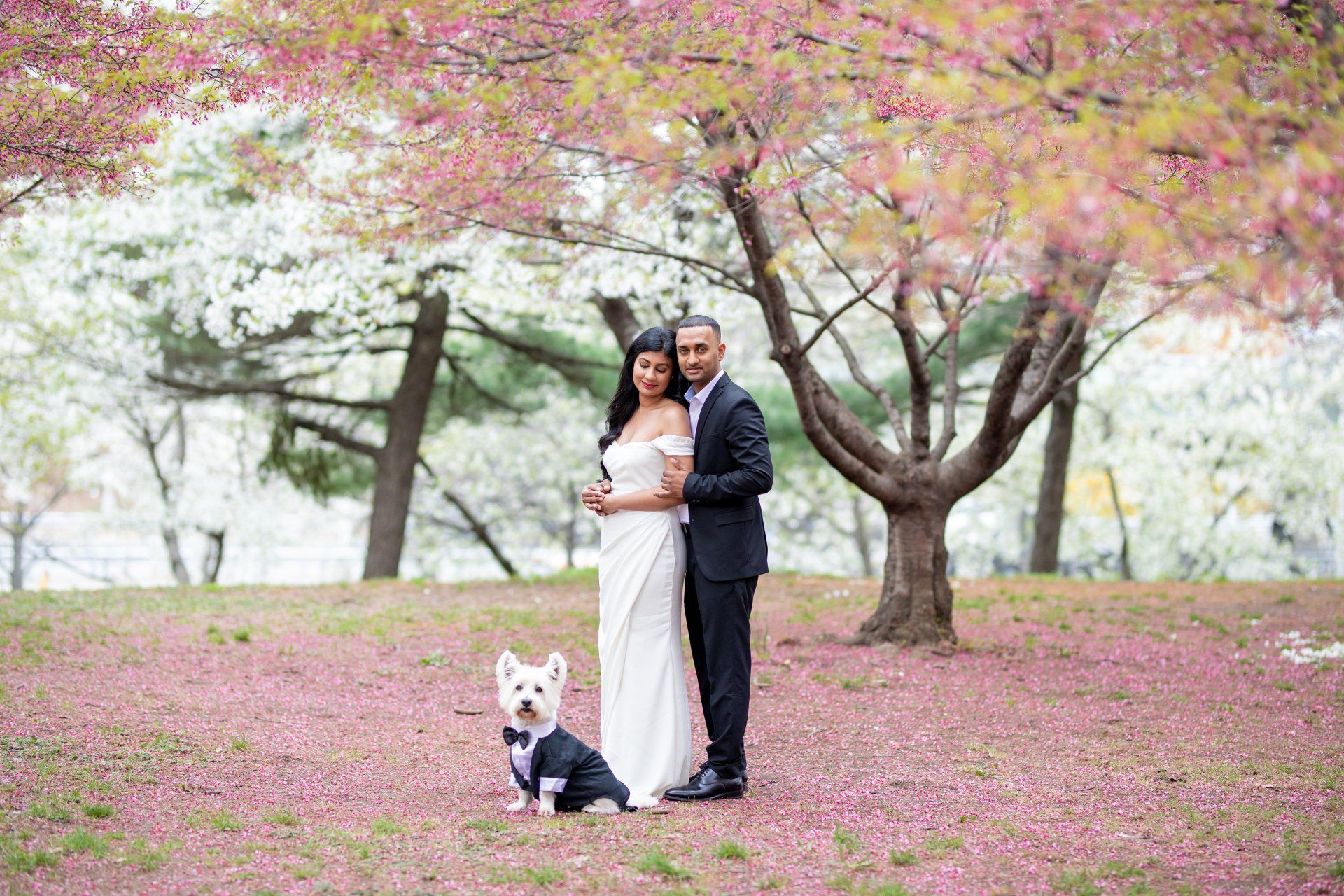 Flushing Meadows Park Globe Waterfall Engagement Photos | Engagement Shoot | Queens NYC Engagement Photographer | Outdoor Couples Shoot | Japanese Cherry Blossom | Japanese Cherry Blossom Engagement Shoot