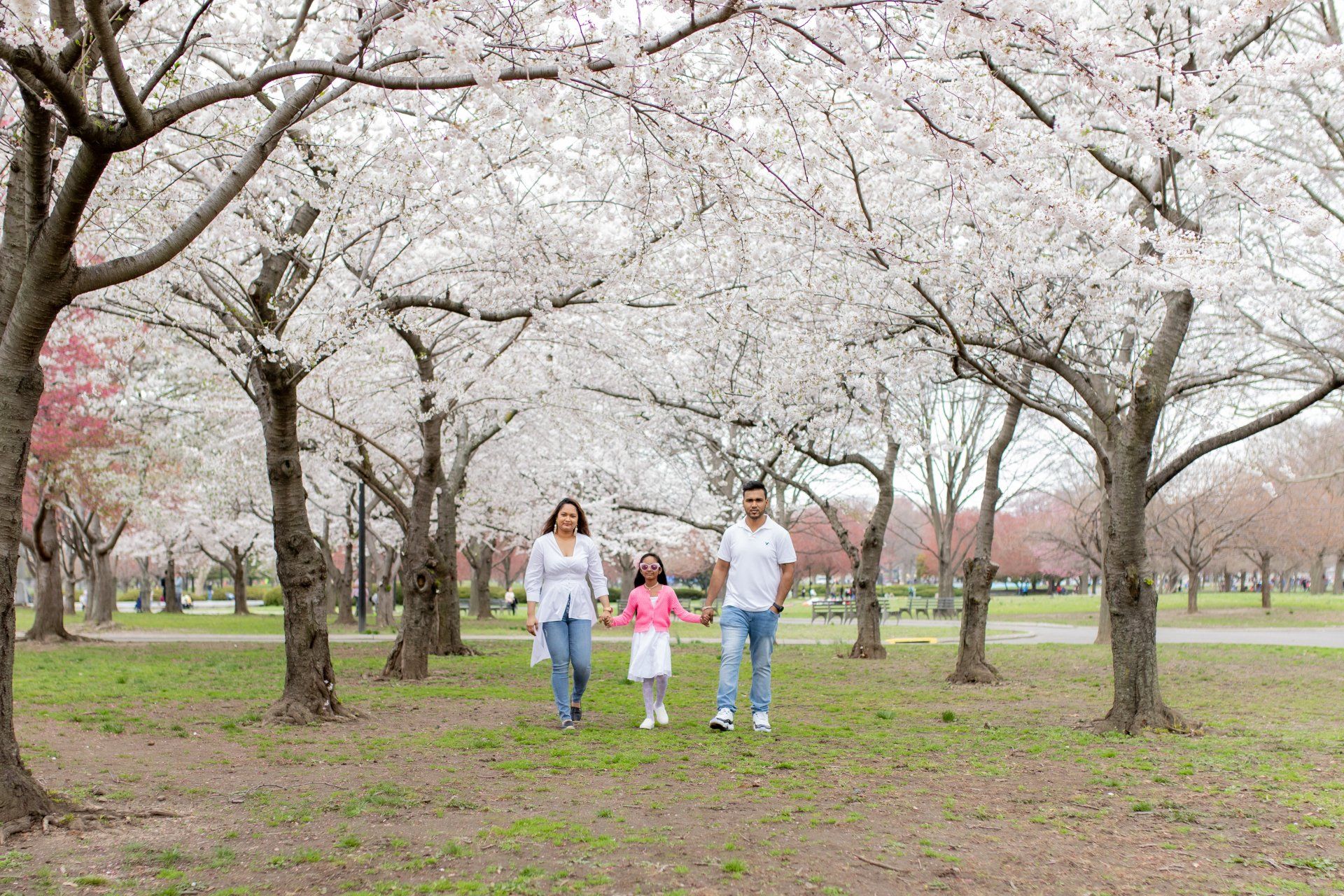 Outdoor Family Photo Shoot | Family Photos | Flushing Meadows Park Photoshoot | Japanese Cherry Blossoms Park Photoshoot