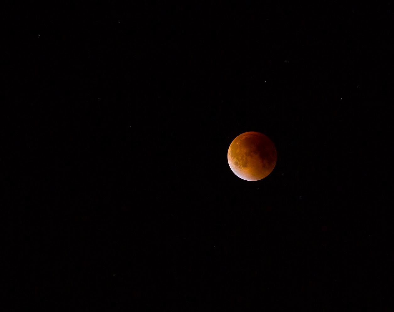Nature Pictures | Moon| NYC Professional Photographer