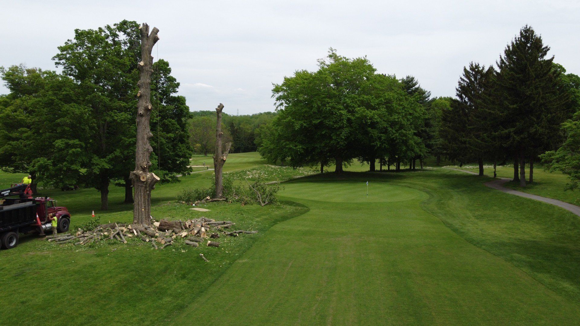 An experienced tree removal company serving Buffalo, Cheektowaga, Amherst & beyond