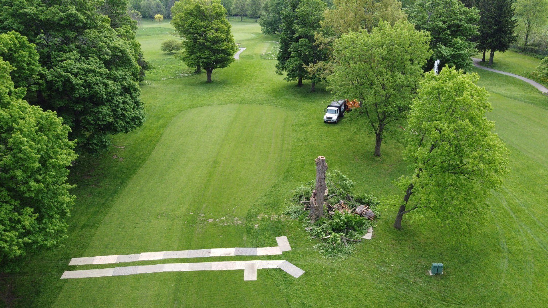 professional stump grinding from a tree service company in Lancaster, NY