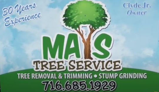 Tree Service Company serving Williamsville, Lancaster & Beyond