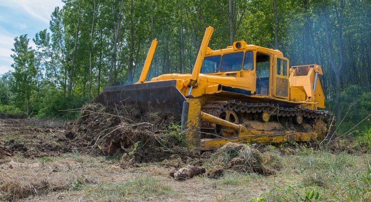 a land clearing professional serving the Orchard Park & Buffalo, NY areas