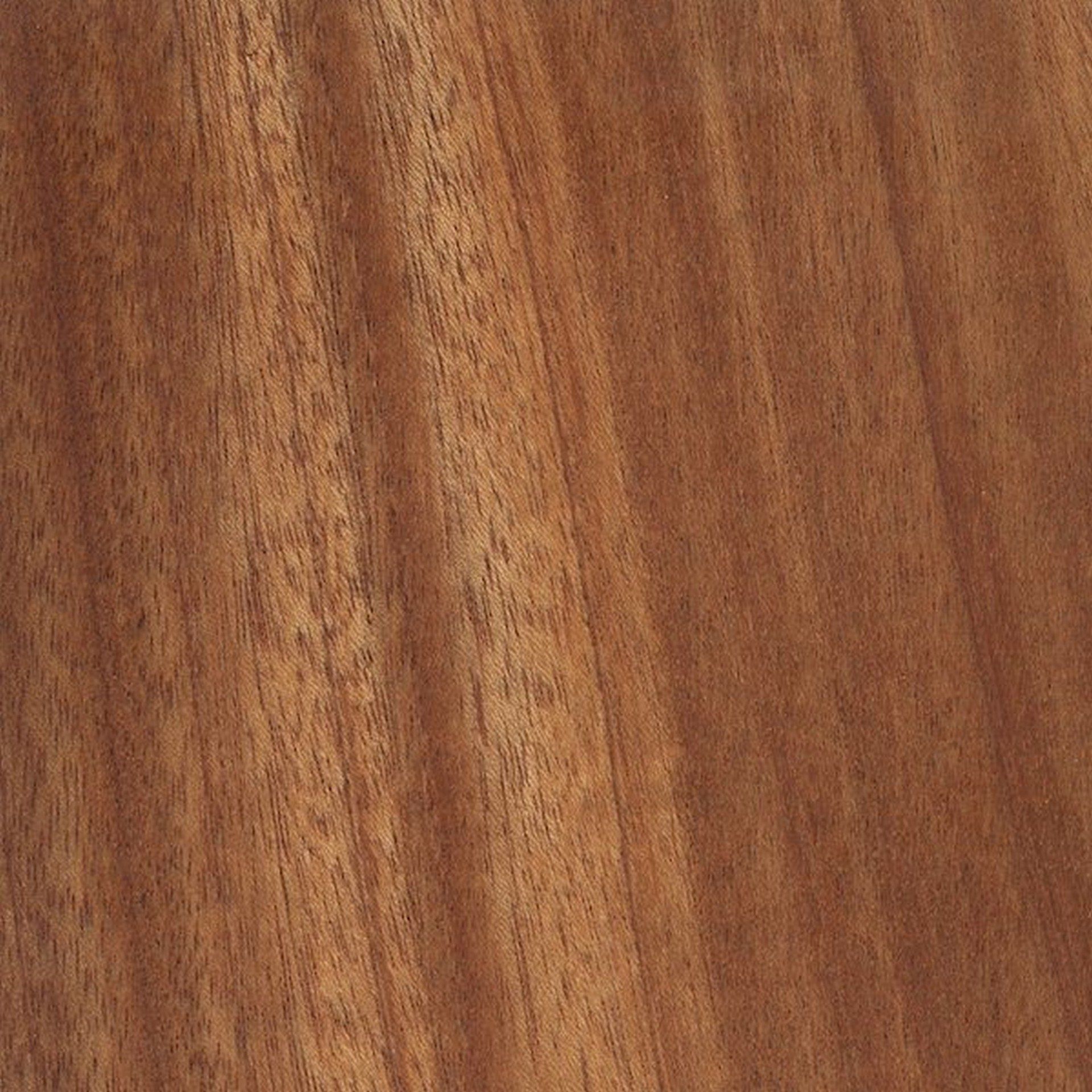 Grapedoor Exclusive African Hardwood Doors - African Mahogany