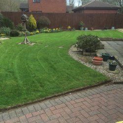 A beautiful garden