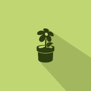 flower icon