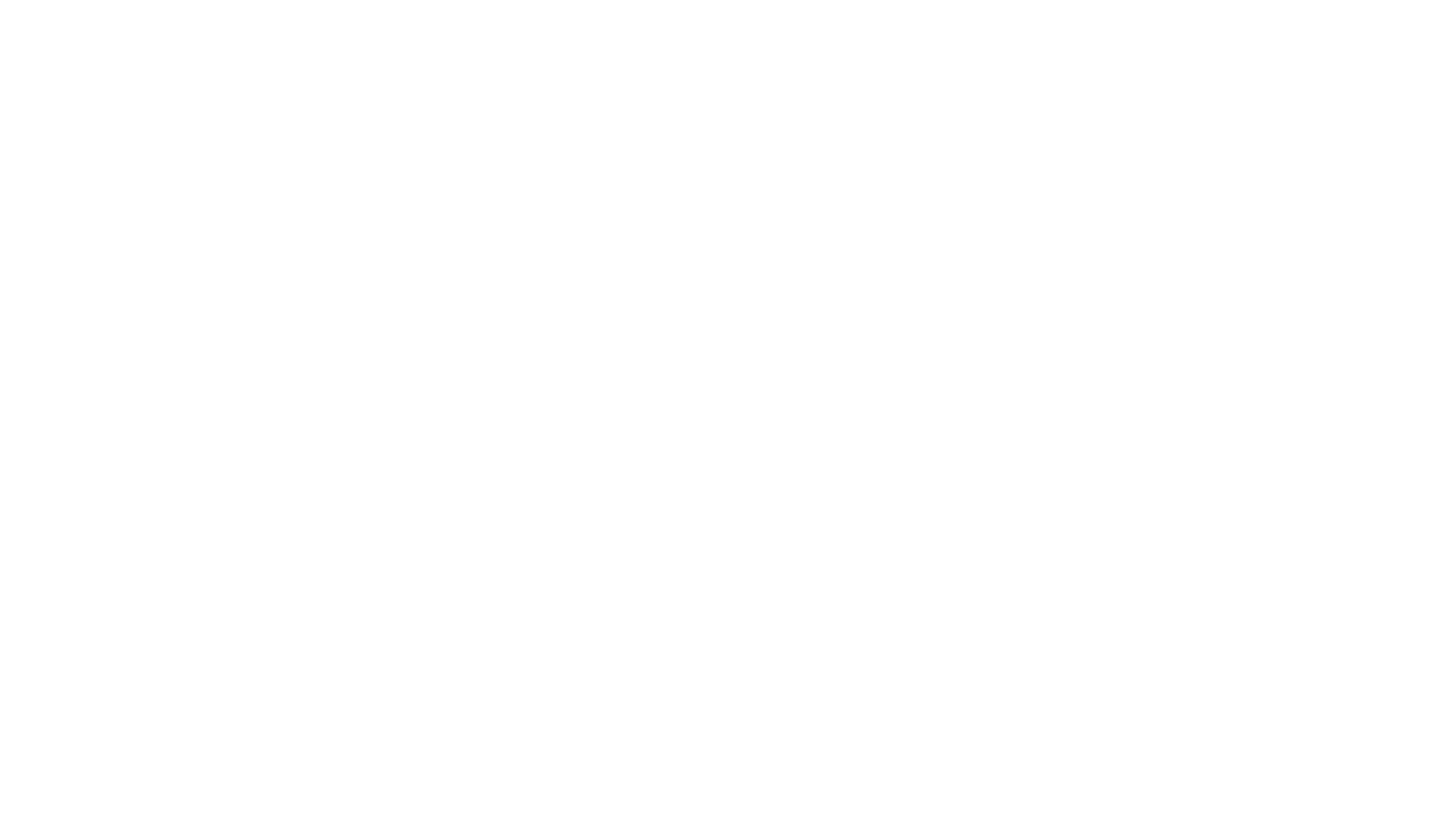 CNEA logo
