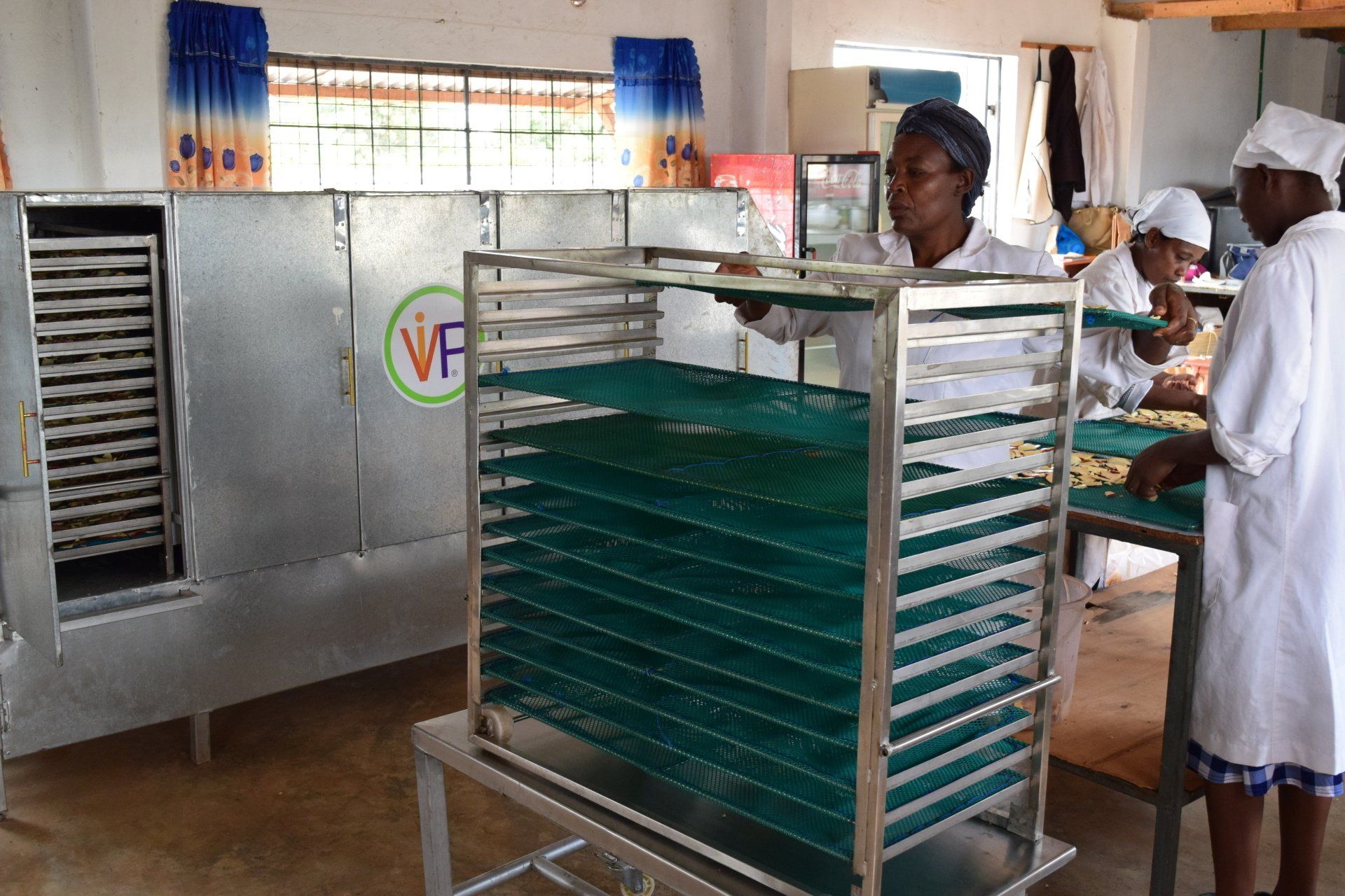 Village Industrial Power works with EEP Africa