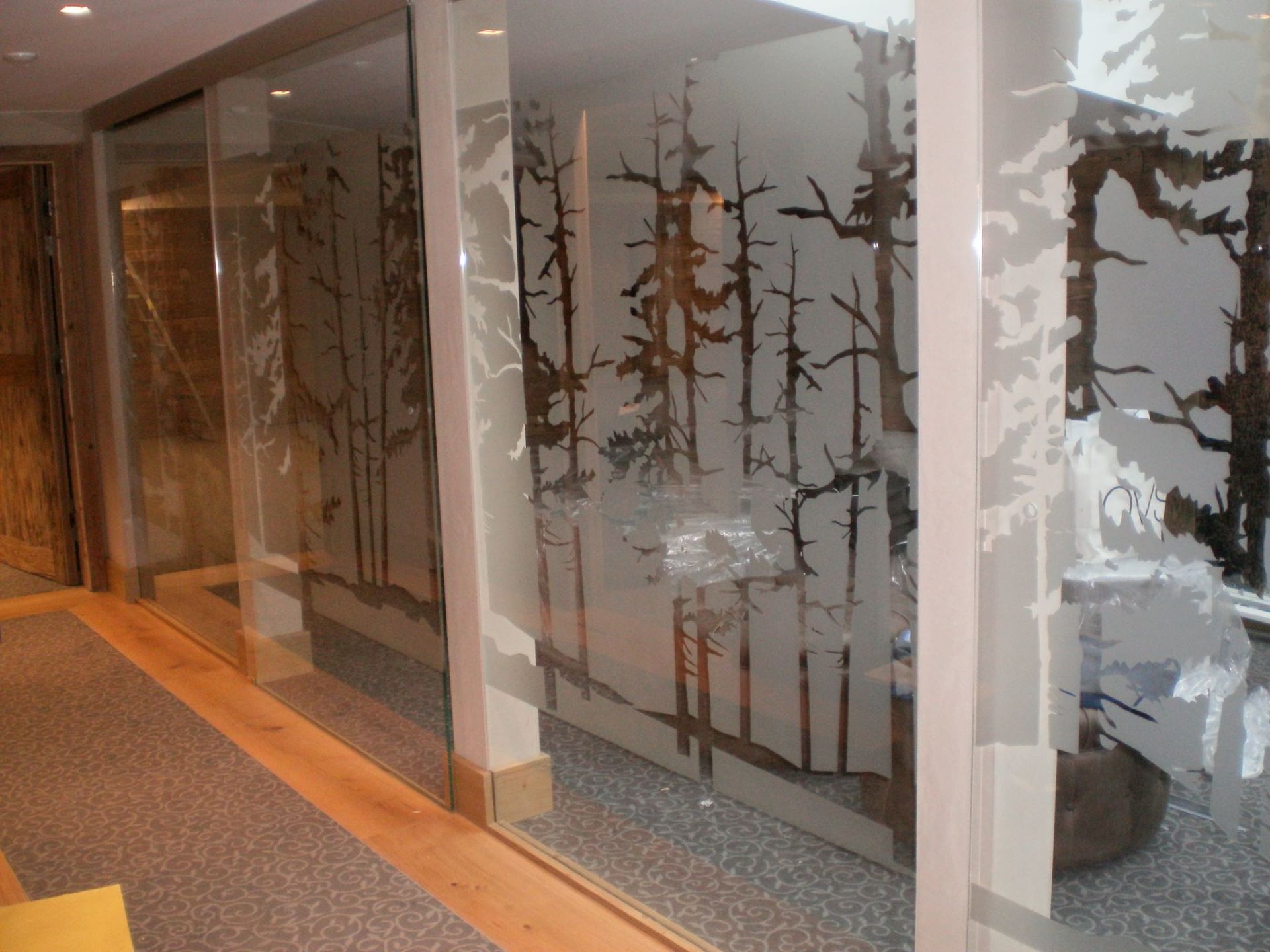 Pareti divisorie in vetro nel corridoio di un ufficio, decorate con motivi satinati e incisi raffiguranti alberi della foresta.