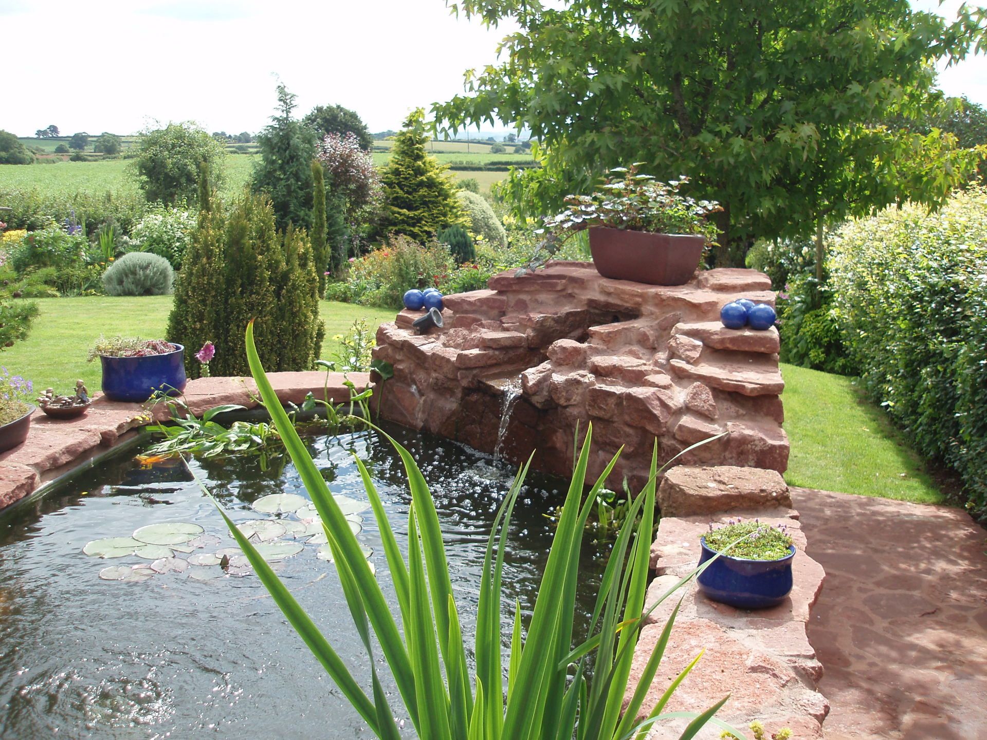 Pond maintenance