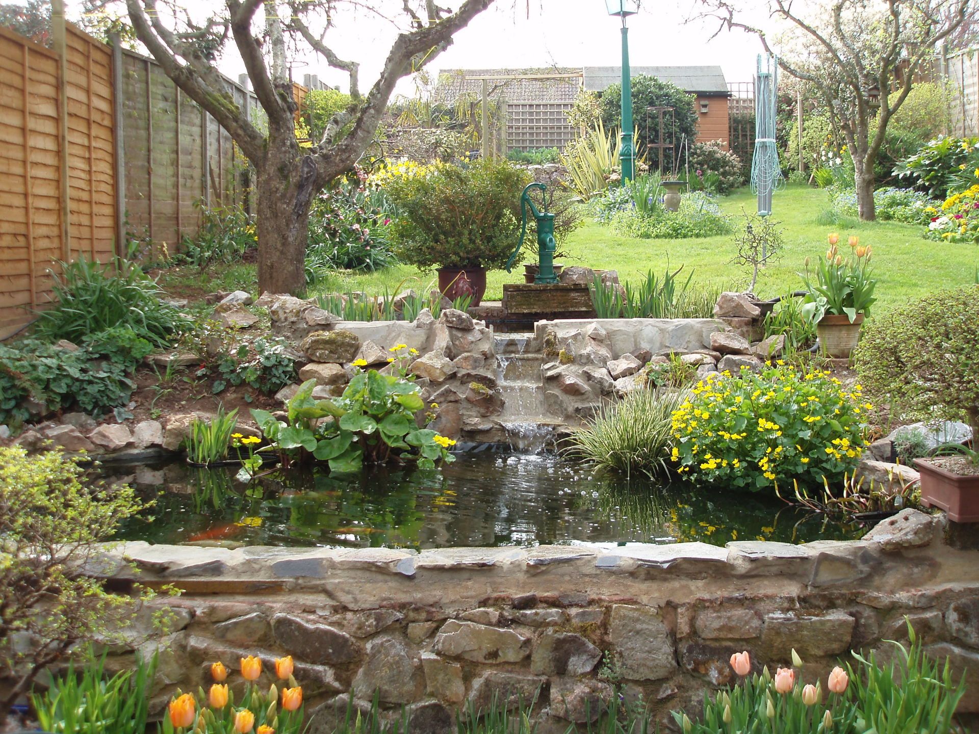 Pond maintenance