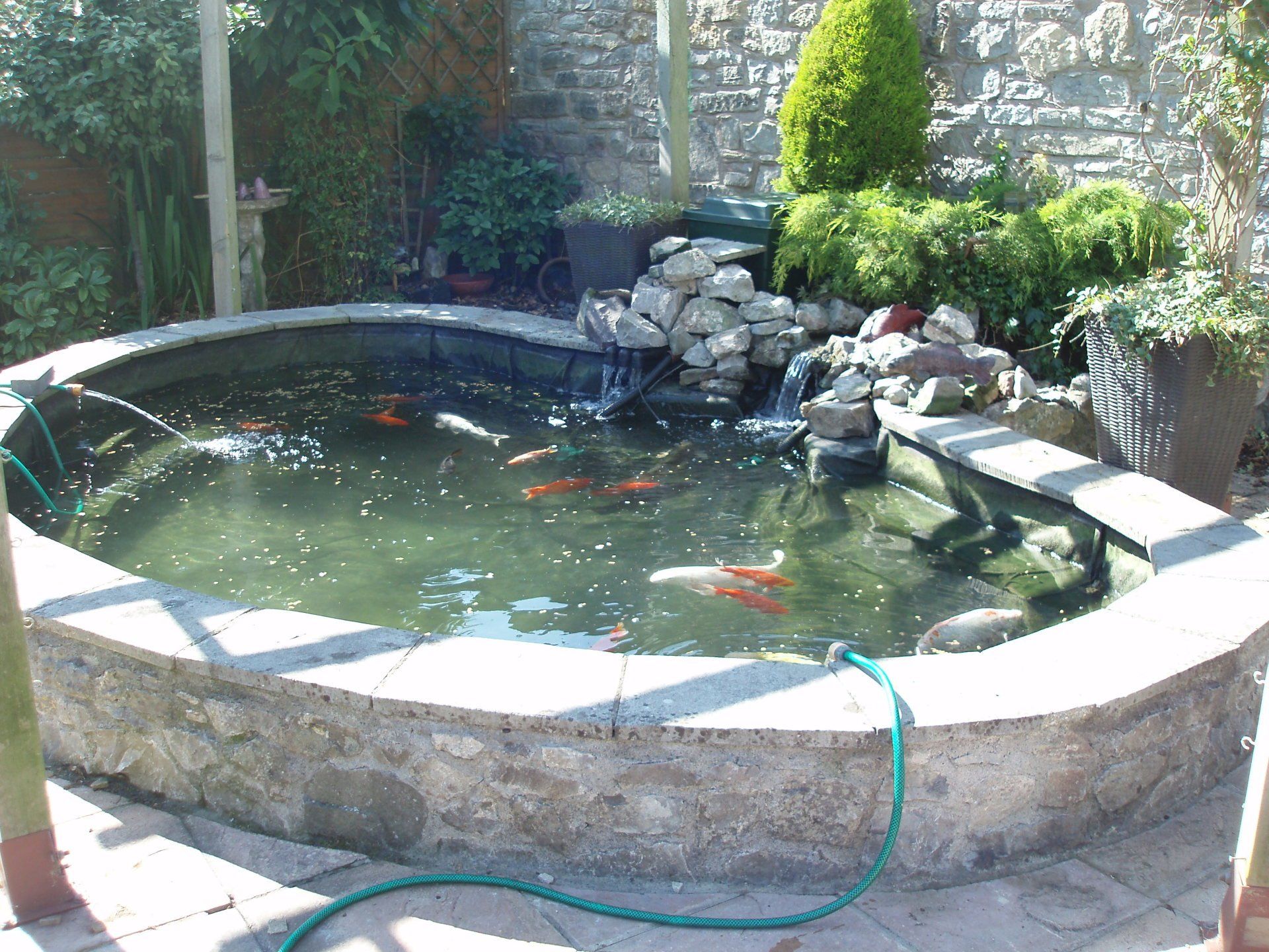 pond