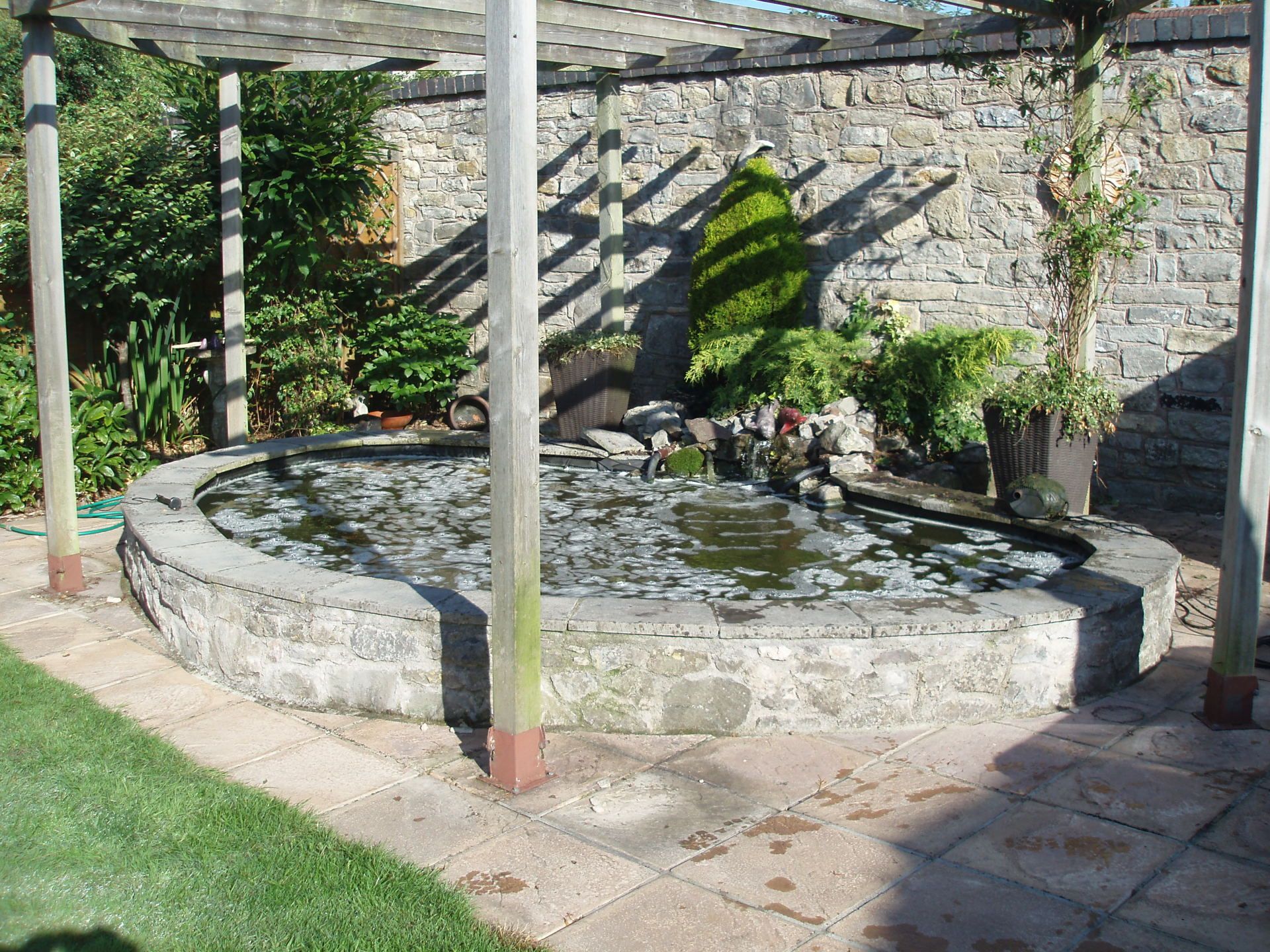 pond