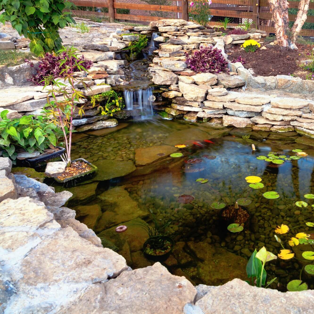 Pond maintenance