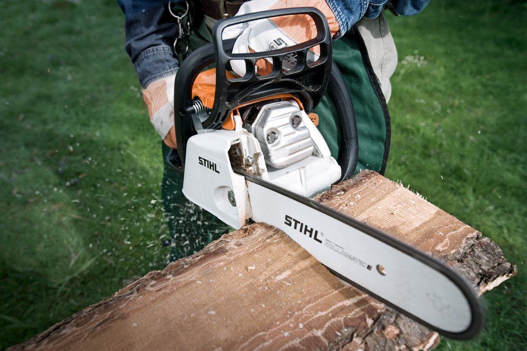 Chainsaw & Arboricultural Equipment 5