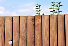 A wooden latted fence