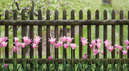 A natural style fence with rustic wood