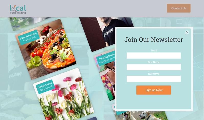 Screenshot of Local Business First Website