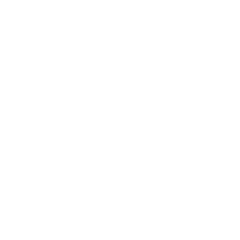 logo icon