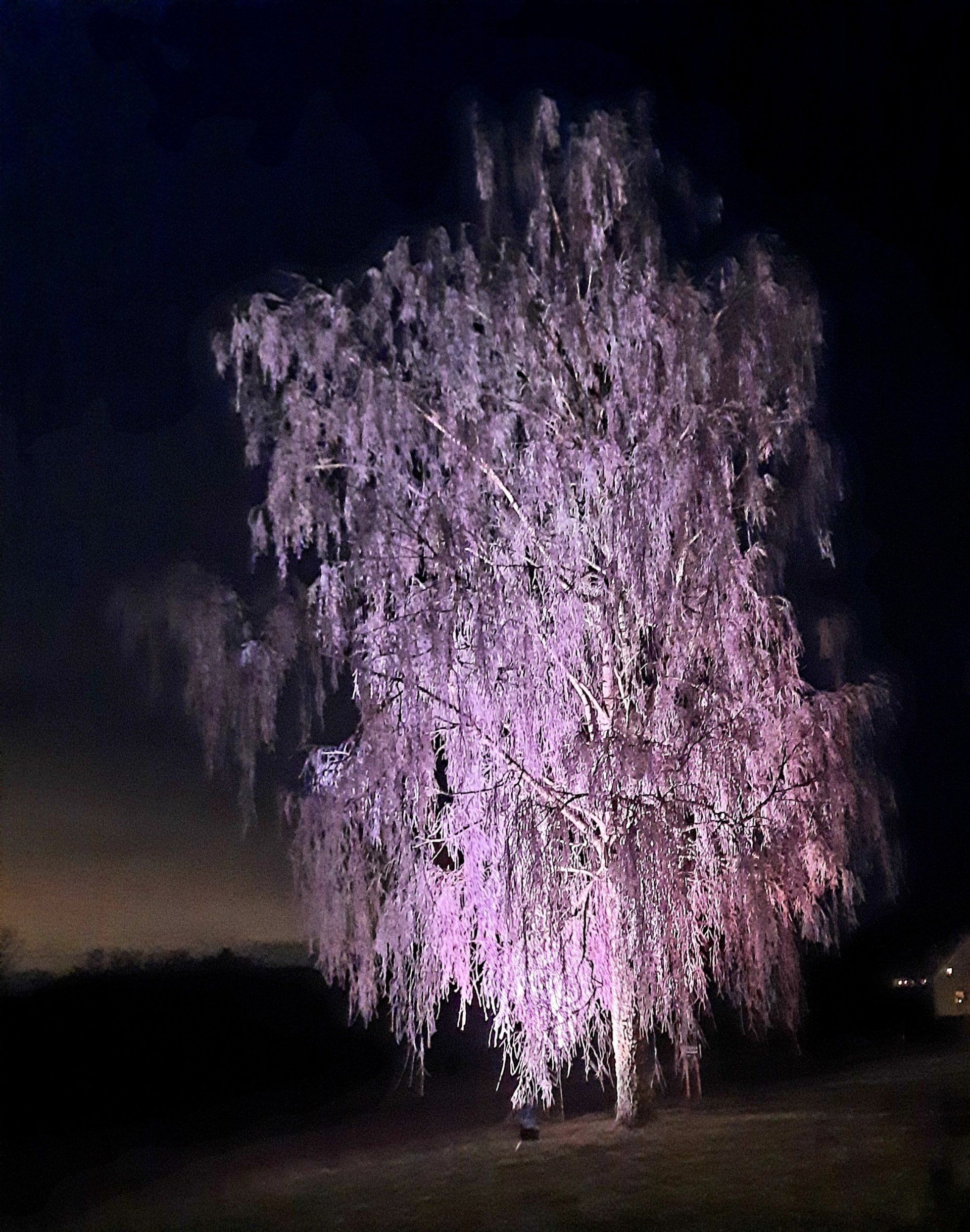 Frostigt