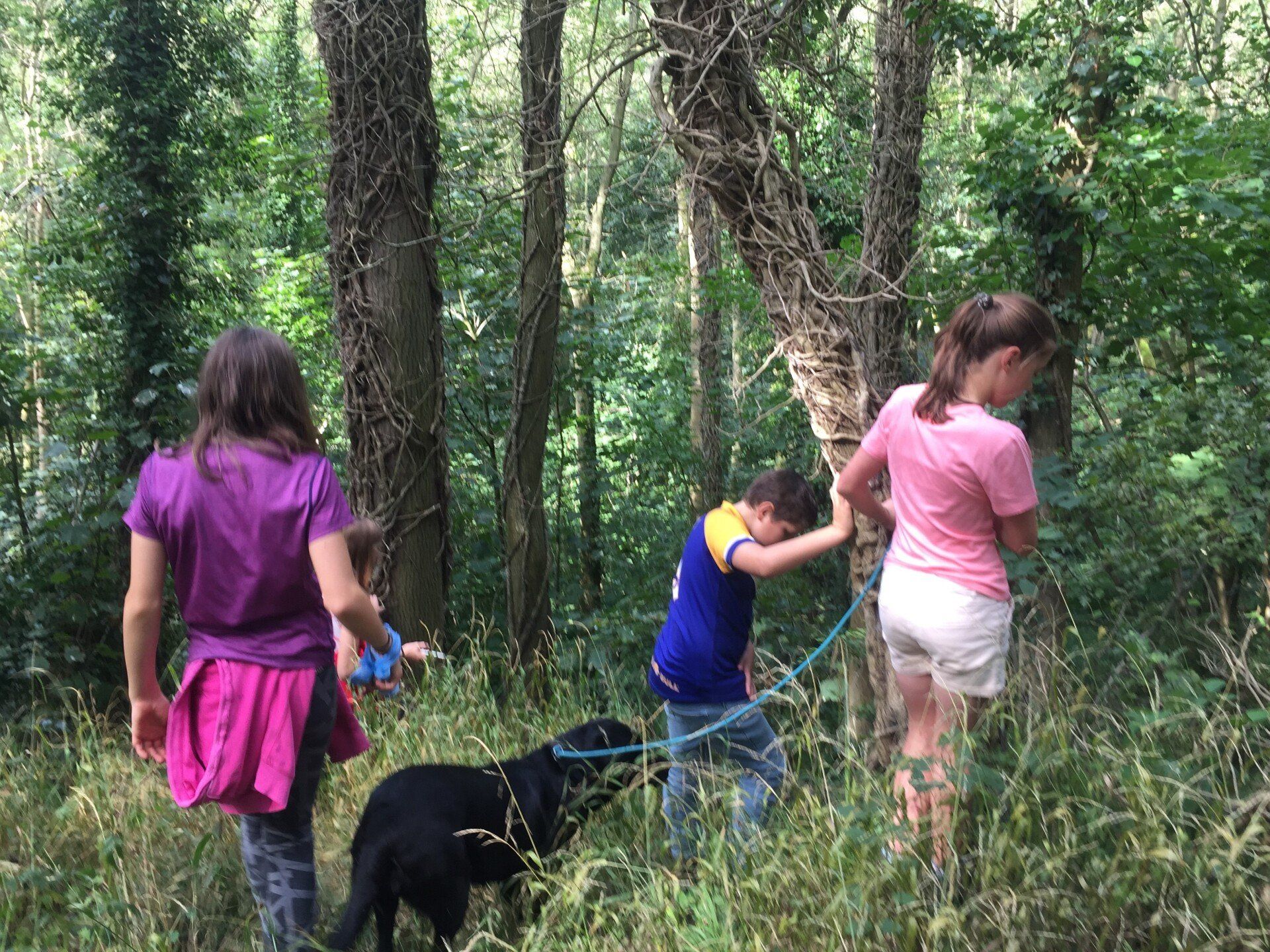 Geocaching in Chafer Wood, Ebberston, North Yorkshire.