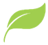 leaf icon