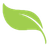 leaf icon