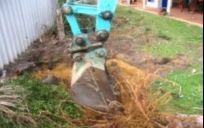 Tree and Stump Removal