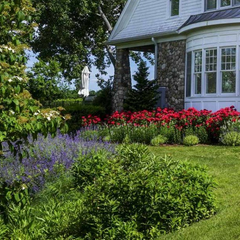 a white house surrounded by purple and red flowers