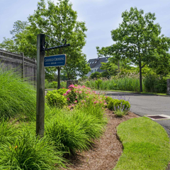 A decorative garden