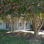 https://www.facebook.com/Nettles-Drive-Apartments-151836678190879/?fref=nf