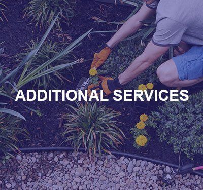image-1054653-callout-additionalservices.jpg