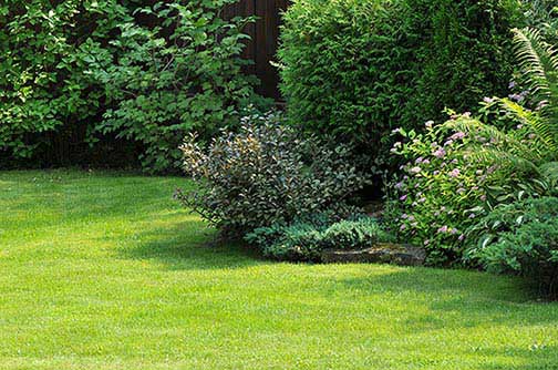 landscape design