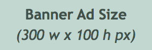 Banner ad size: 300 x 100 pixels, on a light green background.