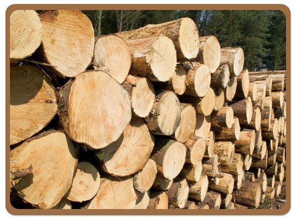 Timber merchants - Liverpool - Edmund A Stephens Ltd - pile of wood