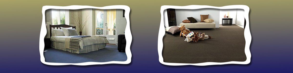 coopers carpet cleaning blue and brown carpet