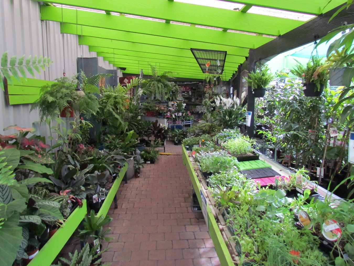garden