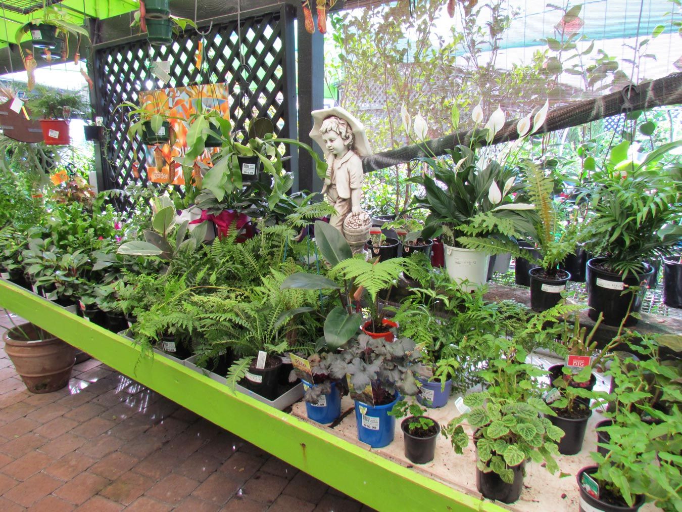 garden