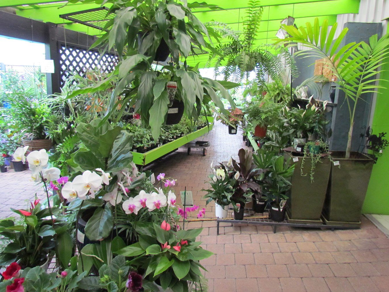 garden