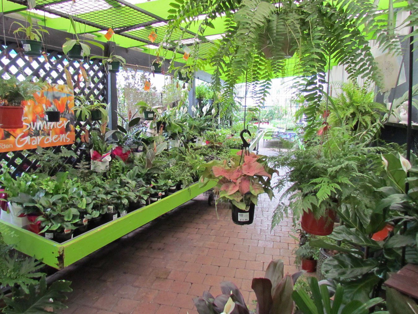 garden