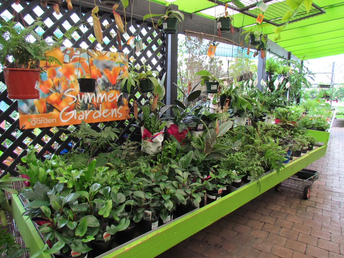 garden