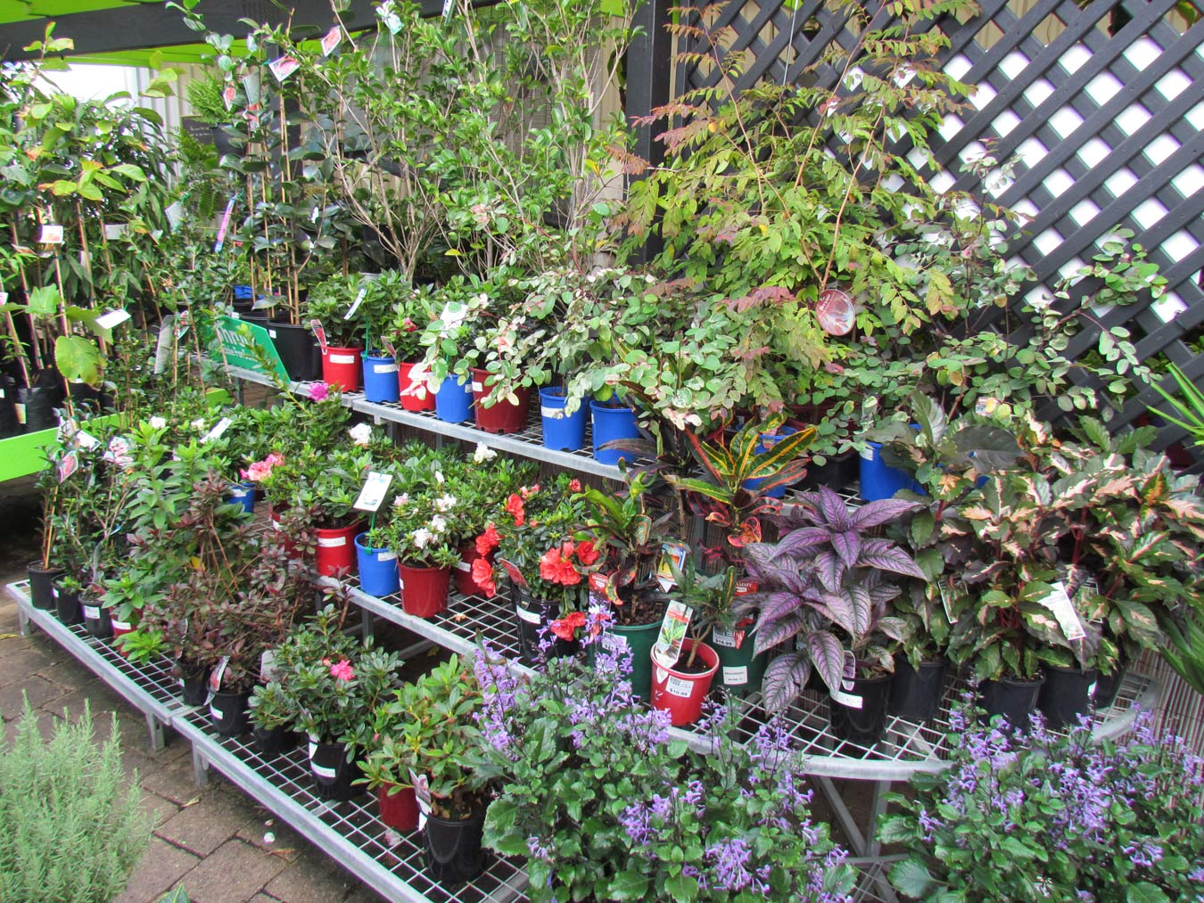 garden