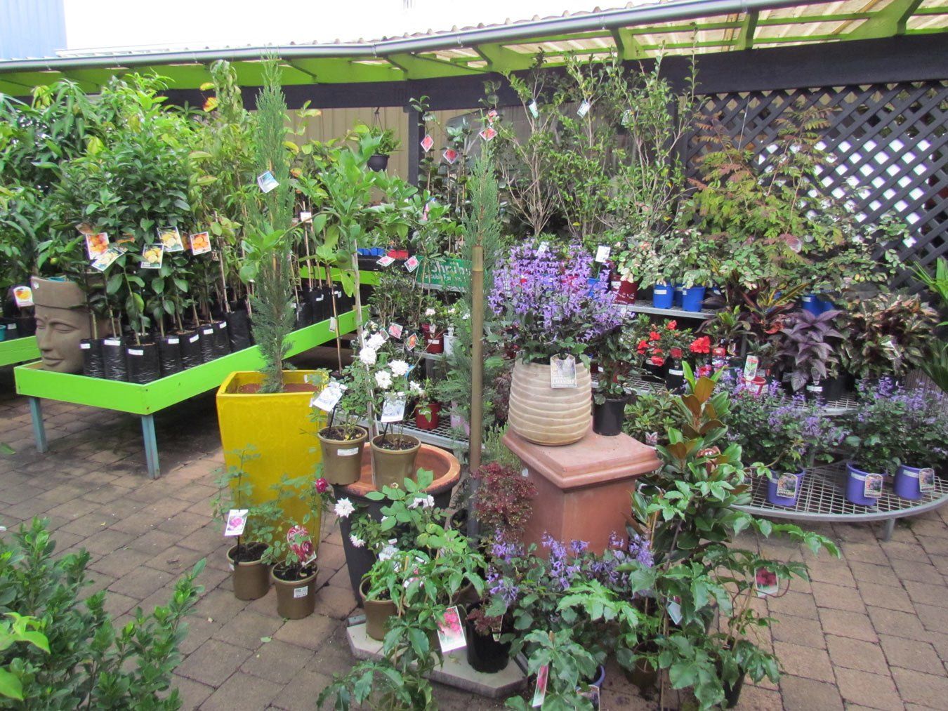 garden