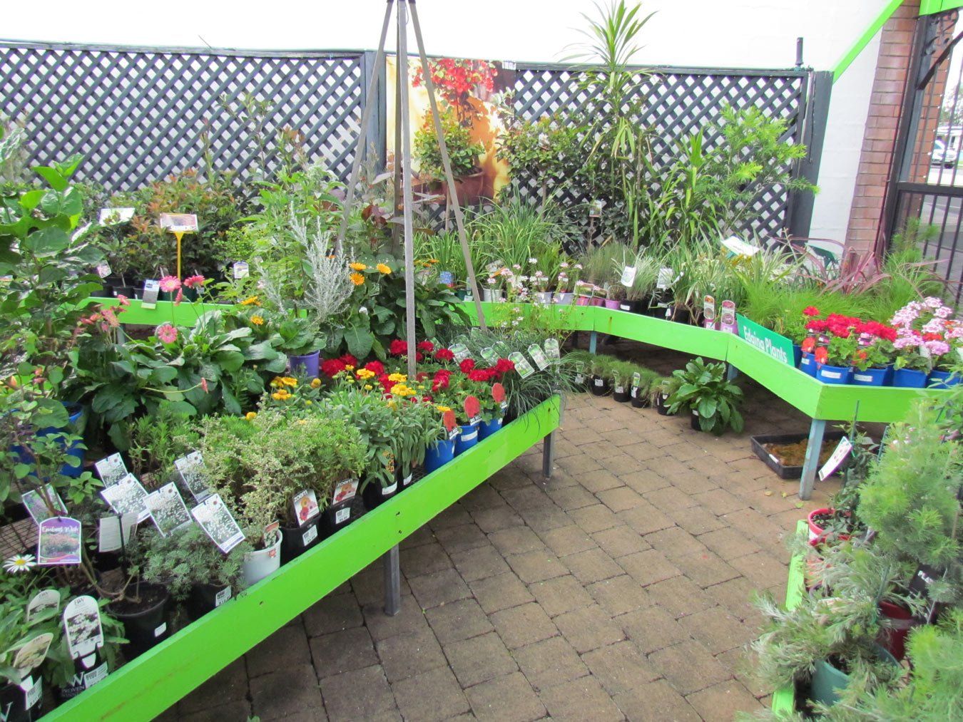 garden