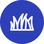 Turf icon
