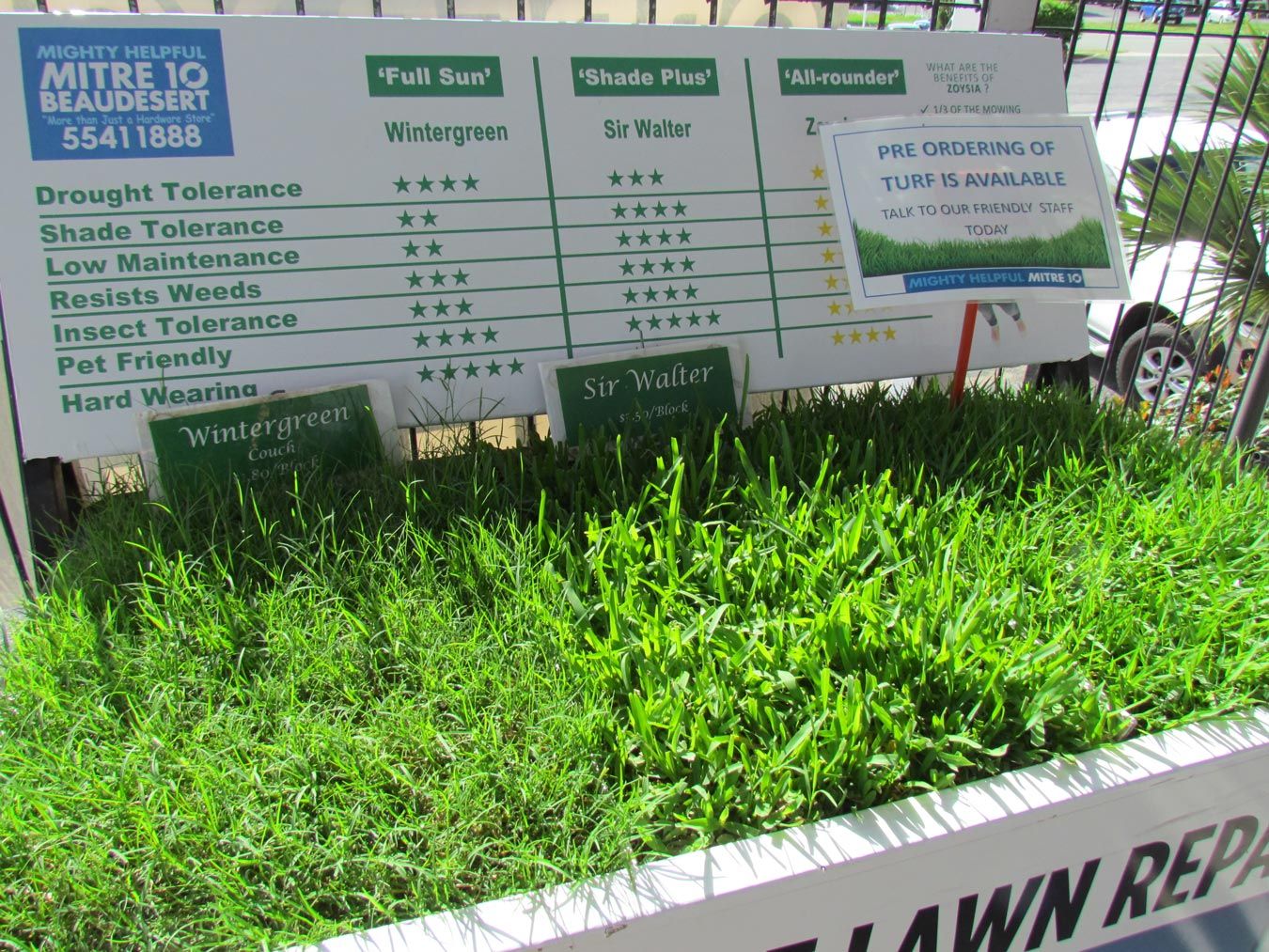 garden plants display