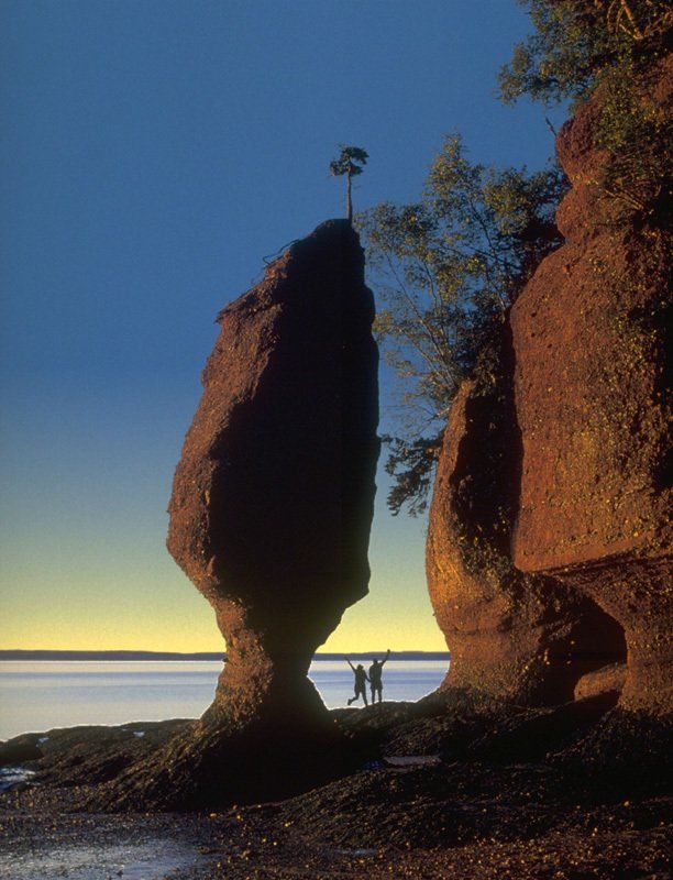 Les rocher de la plage Hopewell sur la baie de Fundy au Nouveau-Brunswick.