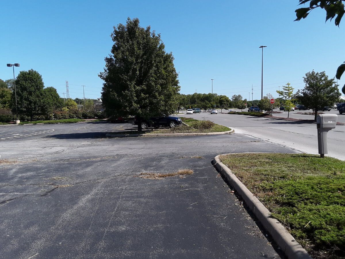 Fall Clean-Up at Bob Evan's