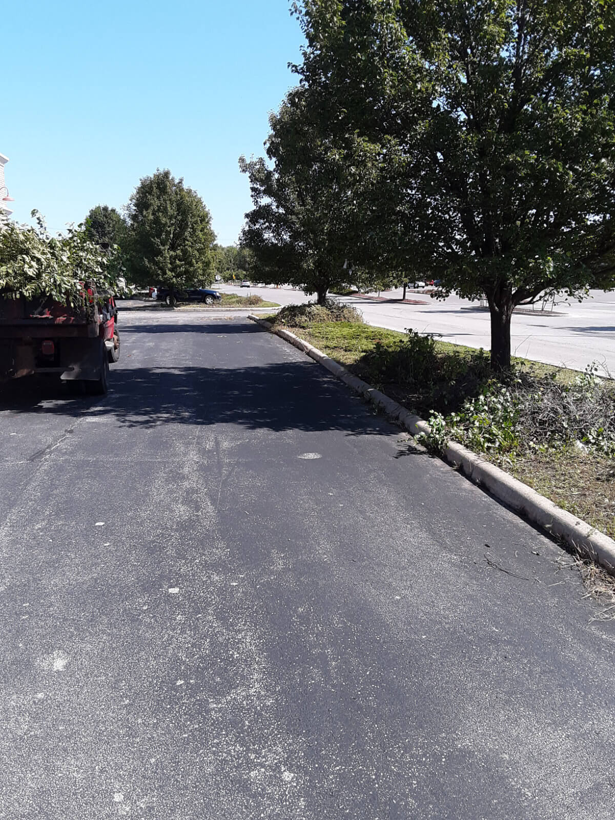 Fall Clean up job at restaurant in Toledo, OH by Dublin Commercial Property Services